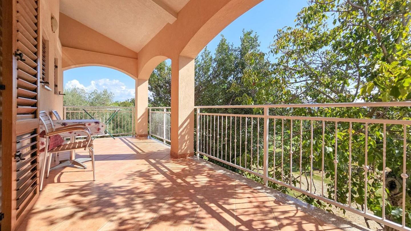 Viola Three Appartement Novigrad Istria Buitenkant foto
