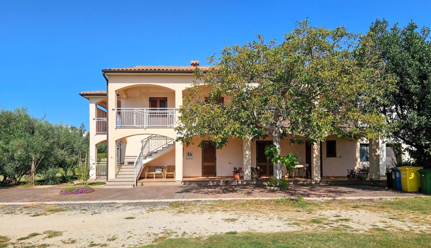 Viola Three Appartement Novigrad Istria Buitenkant foto