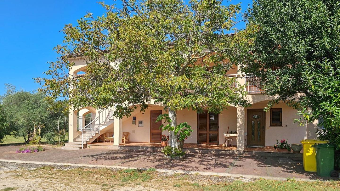 Viola Three Appartement Novigrad Istria Buitenkant foto
